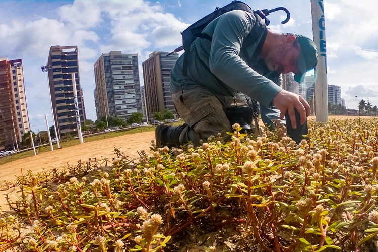 Leonardo Merçon, fotógrafo de natureza e idealizador do projeto (Foto: Laiz Pontes)