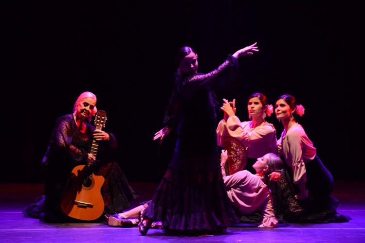 O Reverence Studio de Dança apresentará uma série de modalidades, como o flamenco (Foto: Divulgação)