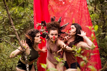Suindara (Foto: Divulgação)