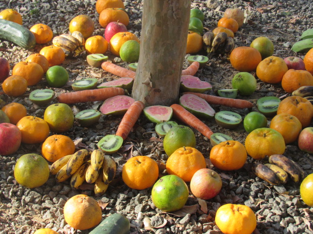 cidaescomestiveis_mandala2