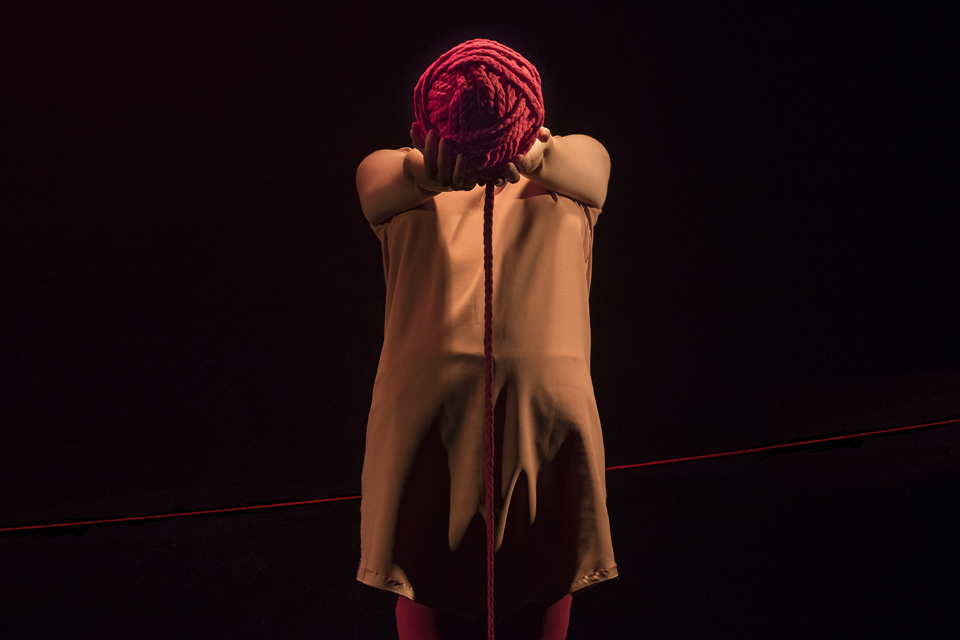 Las  lineas (18)