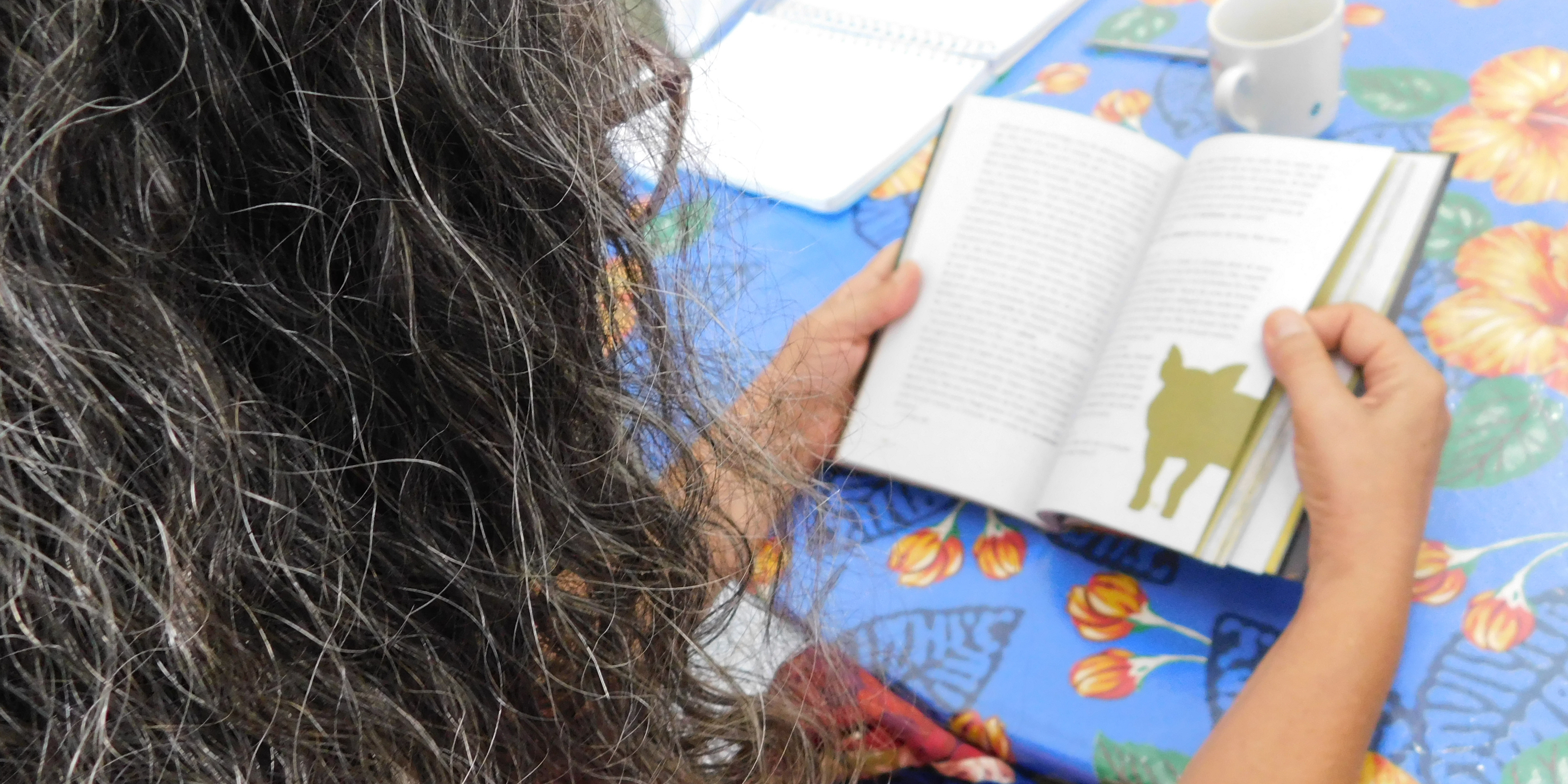 clube de leitura