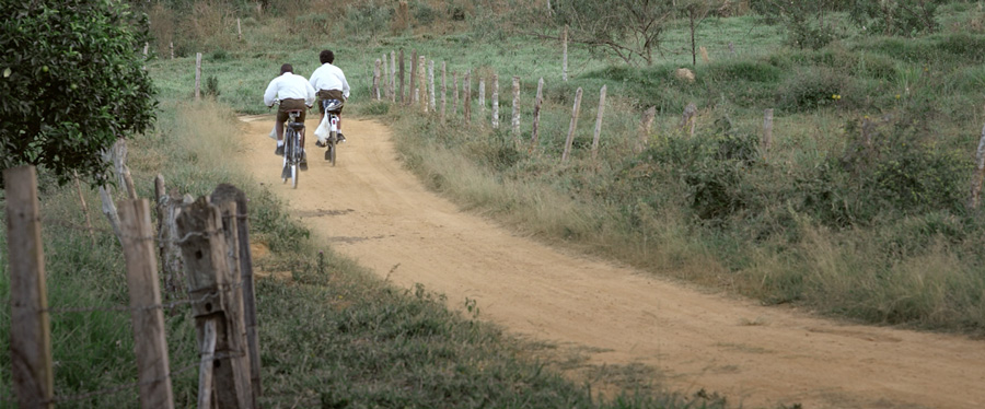 Filme_A-Luta