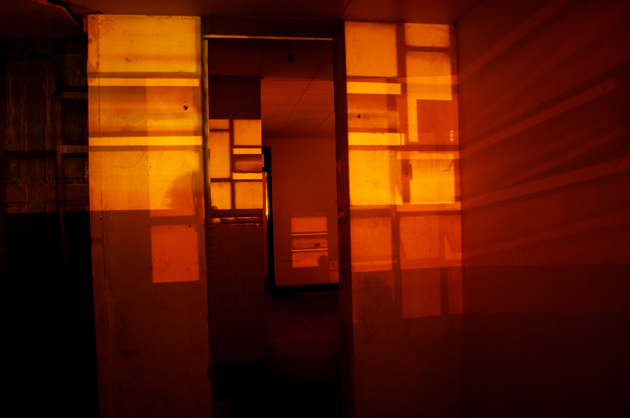 Obra-da-exposição-Inquilino-de-Julio-Tigre (1)