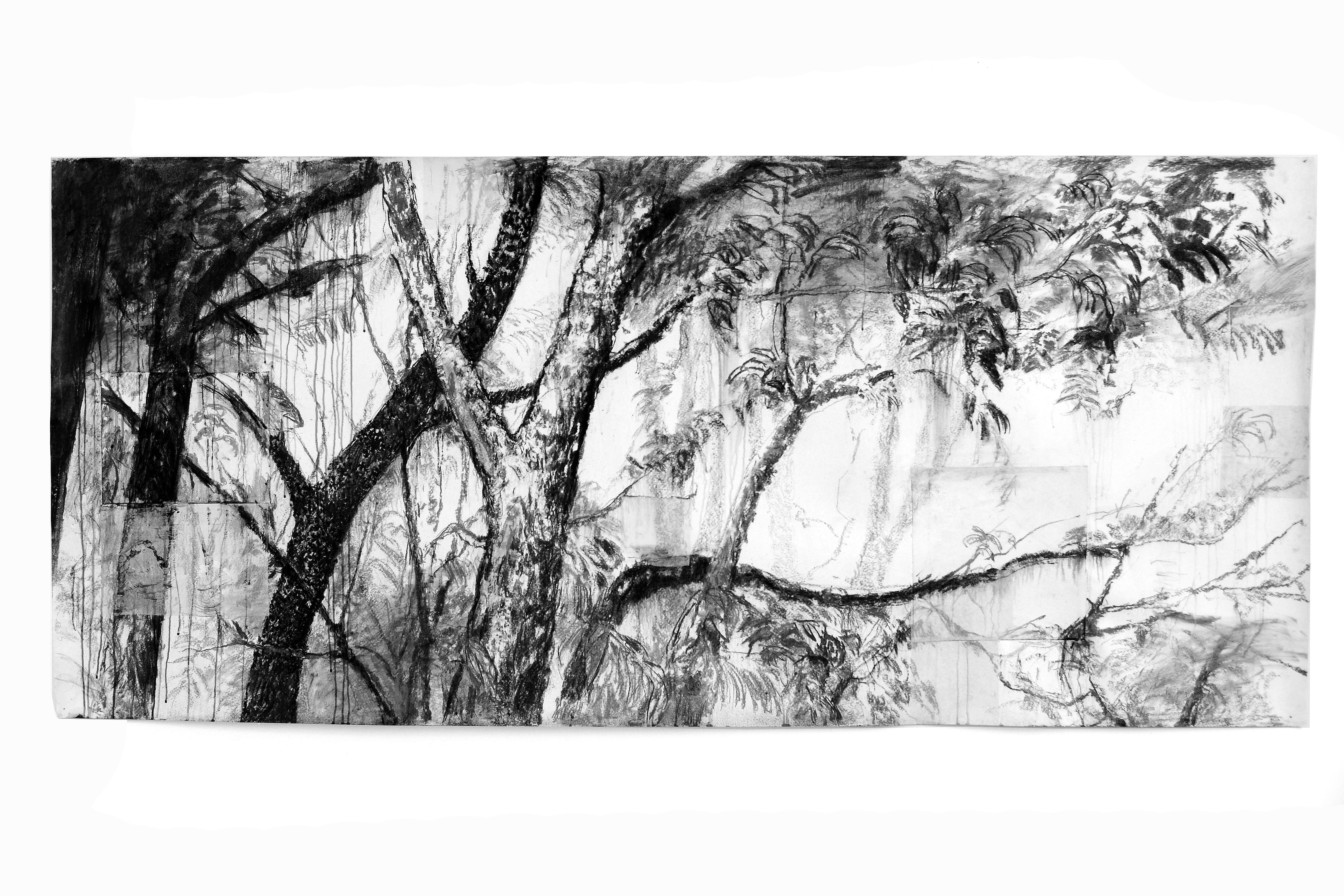 _DSC2670a1