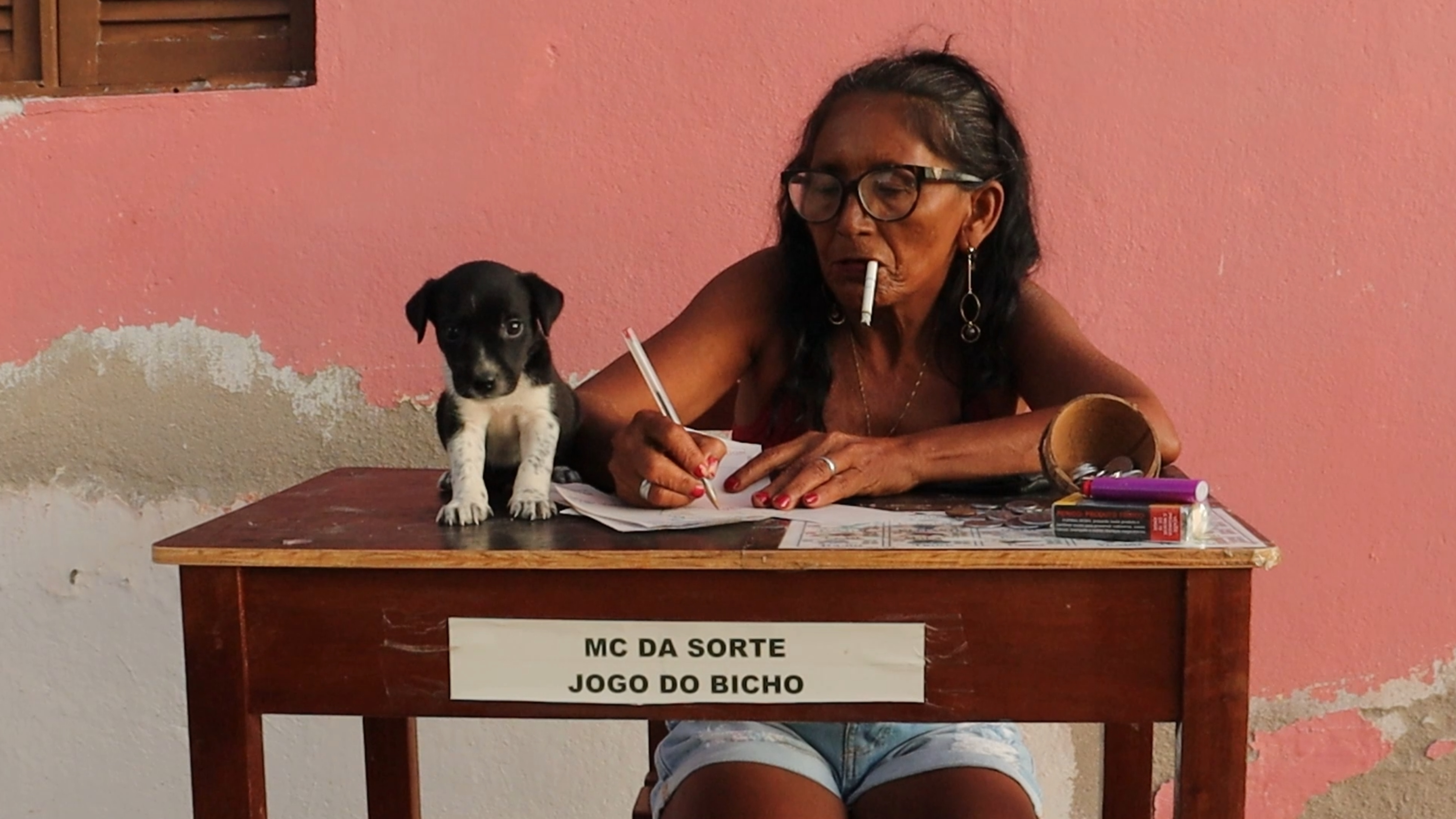 still pupá 3 Maria Brito